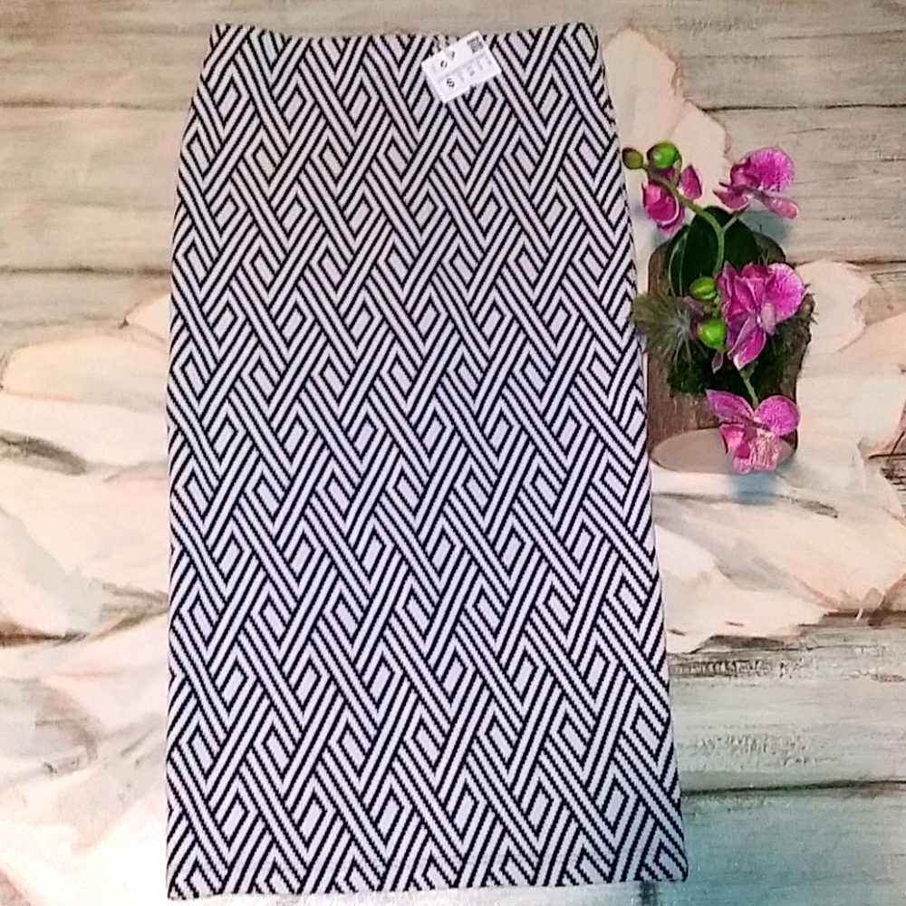 ZARA ✏ Skirt